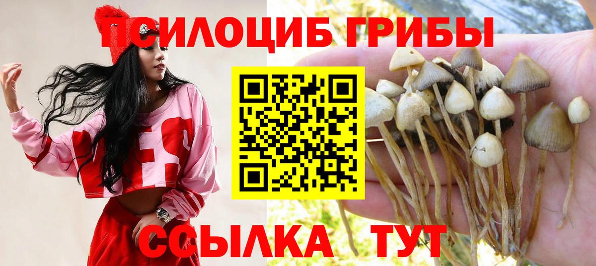 Лянтор  Галлюциногенные грибы Cubensis  Вход с VPN 