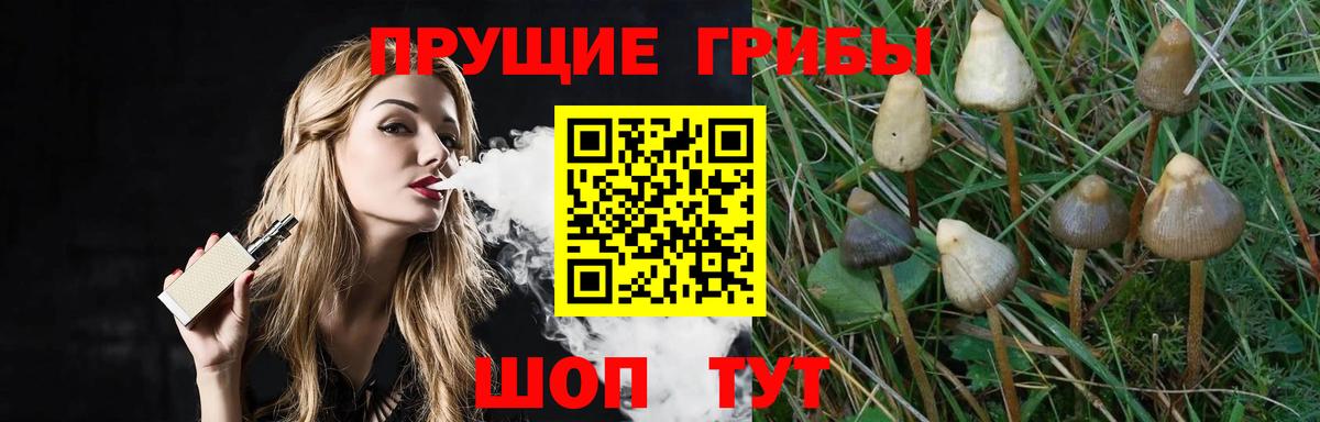 Псилоцибиновые грибы прущие грибы Лянтор